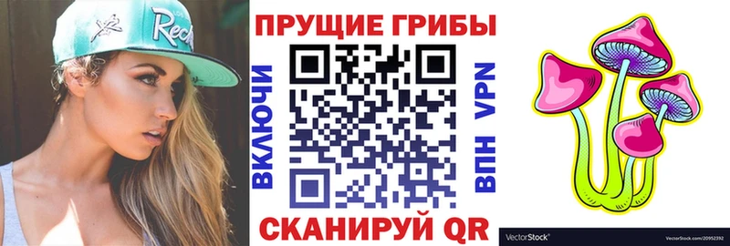 Псилоцибиновые грибы Psilocybe  hydra как войти  Йошкар-Ола 